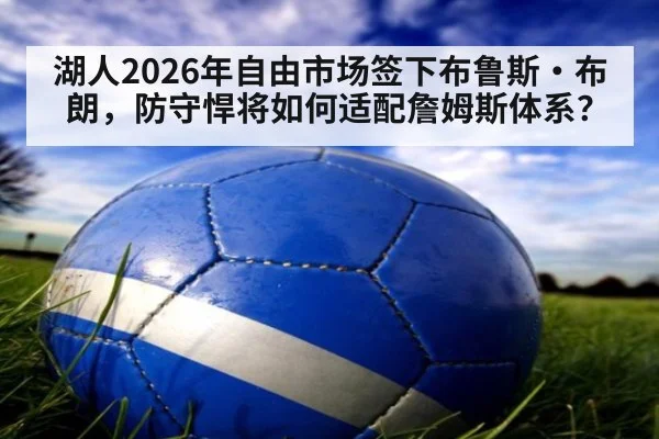 湖人2026年自由市场签下布鲁斯·布朗,防守悍将如何适配詹姆斯体系?