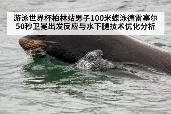 游泳世界杯柏林站男子100米蝶泳德雷塞尔50秒卫冕出发反应与水下腿技术优化分析